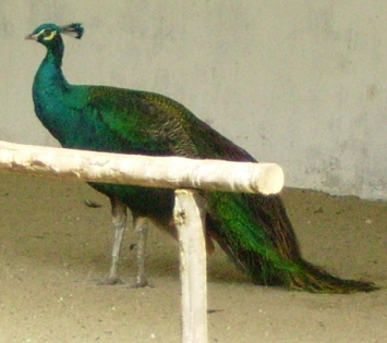 9.JPG