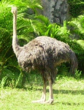 10.JPG