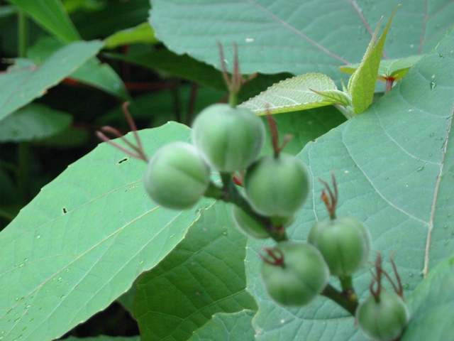 照片 038.JPG