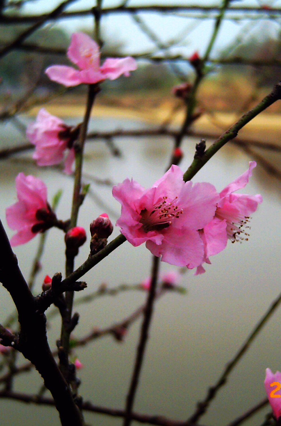 PICT0027.JPG