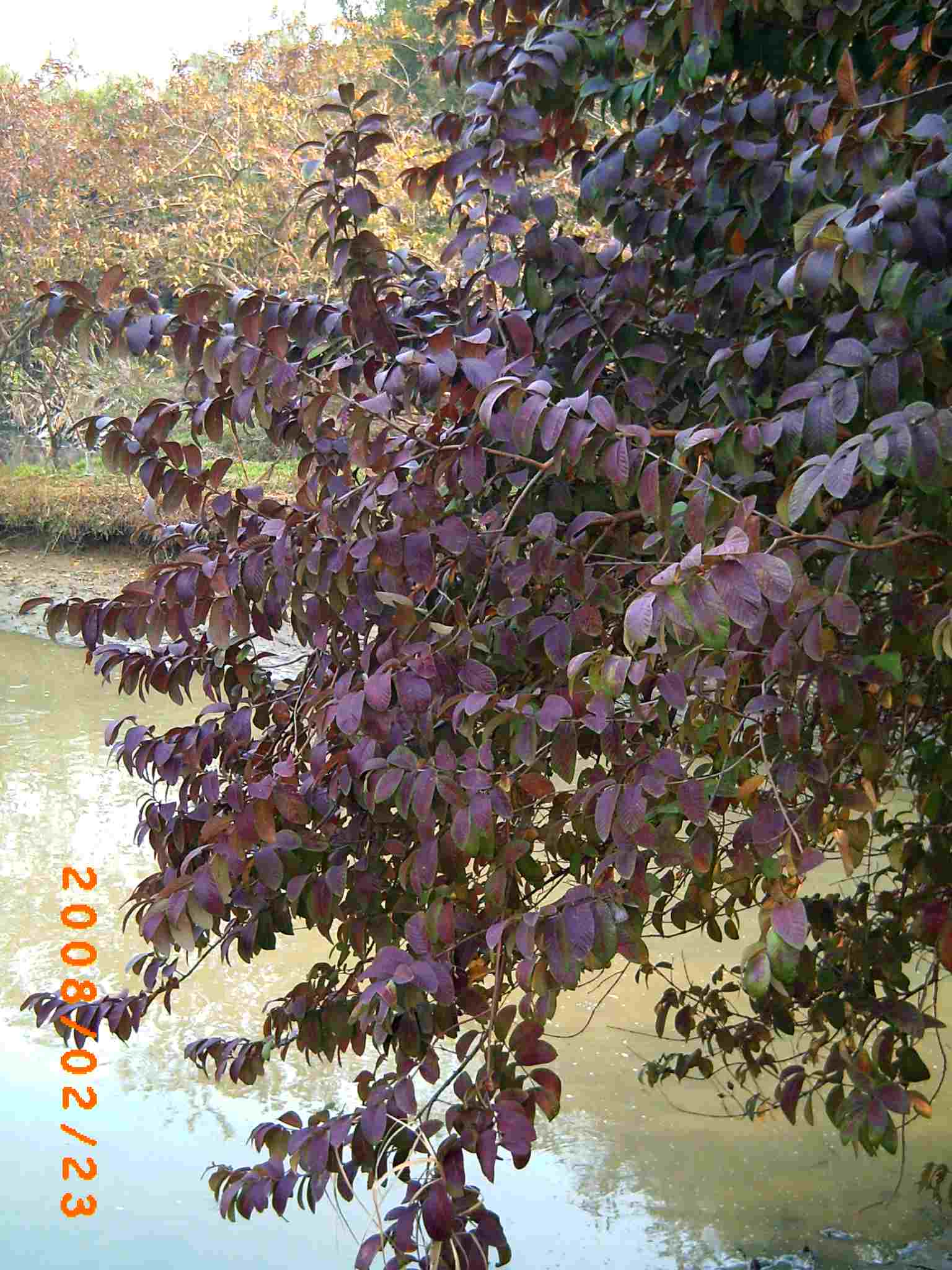PICT0044.JPG