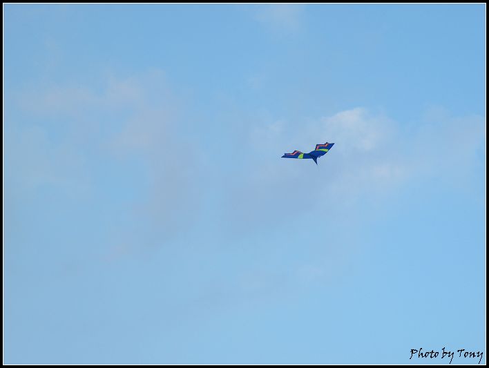 DSCF2425s.jpg