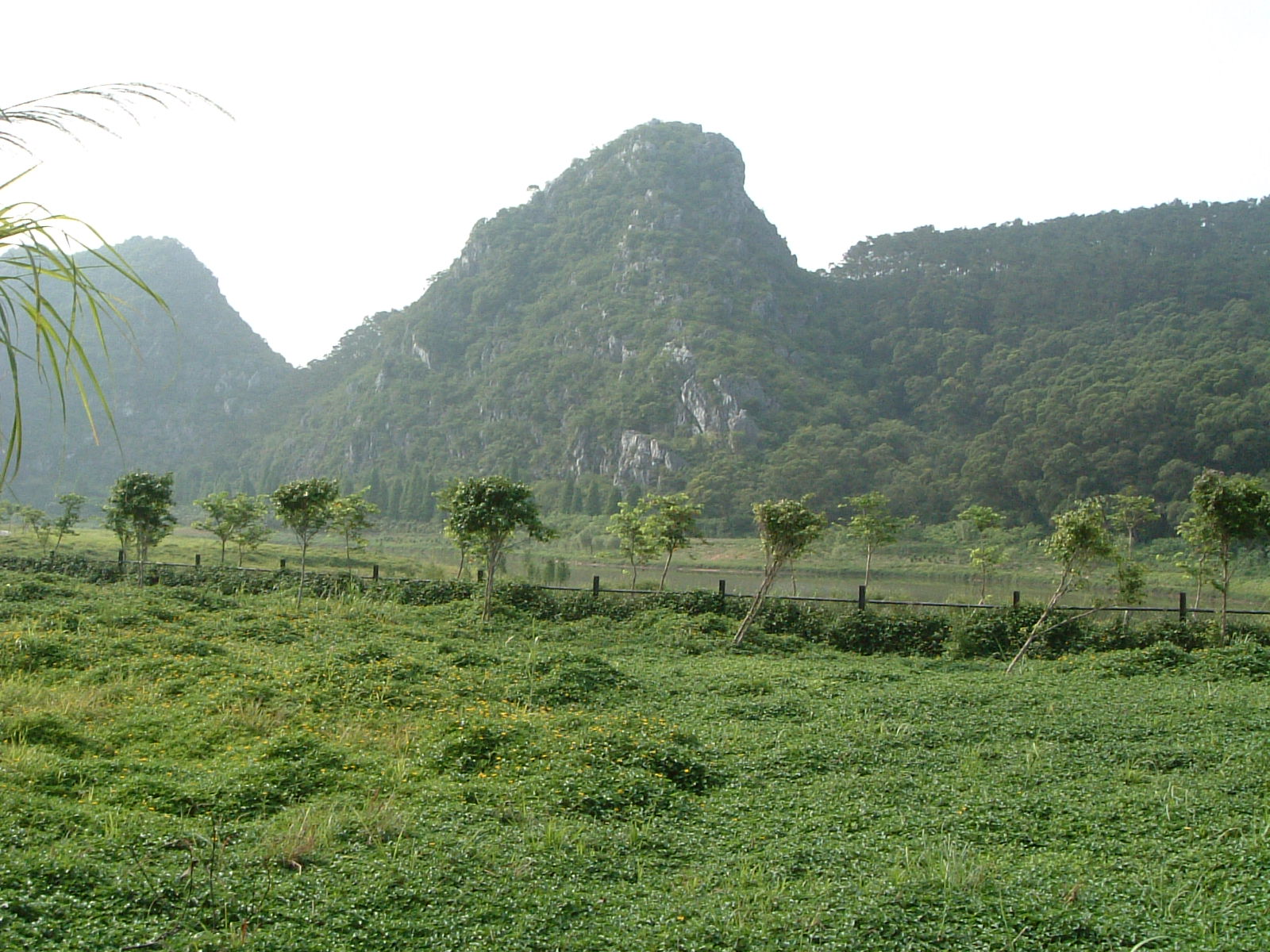 DSCF0005.JPG