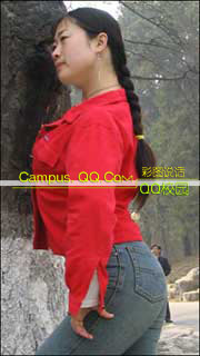 630440.jpg