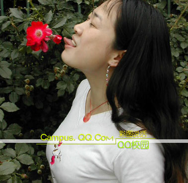 630444.jpg
