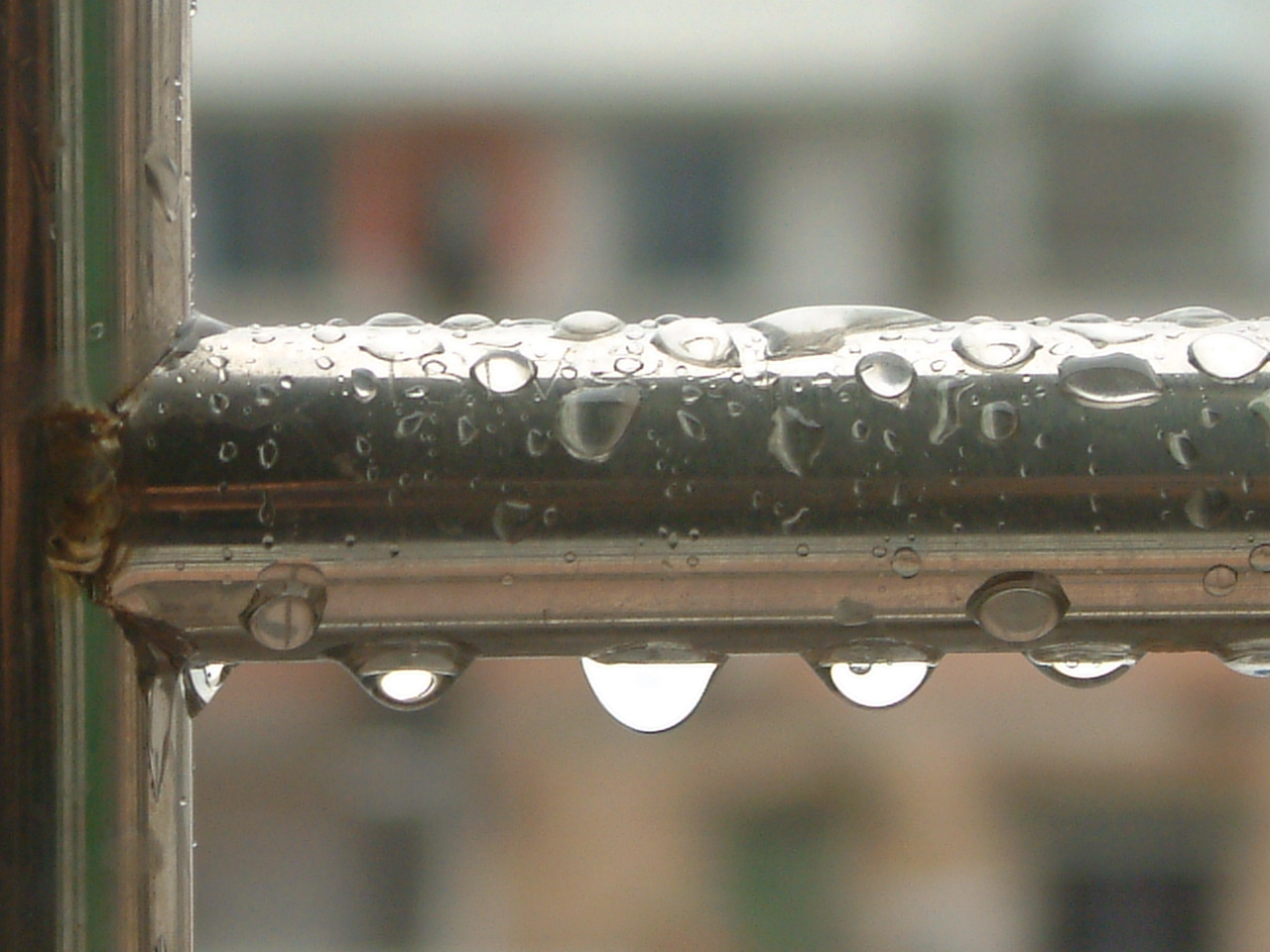 DSCF0086.JPG