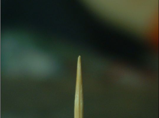 5.JPG