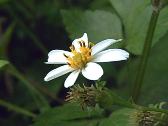 PICT0001.JPG