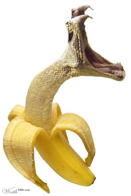 501.jpg