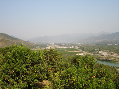 Dsc00399-1.jpg