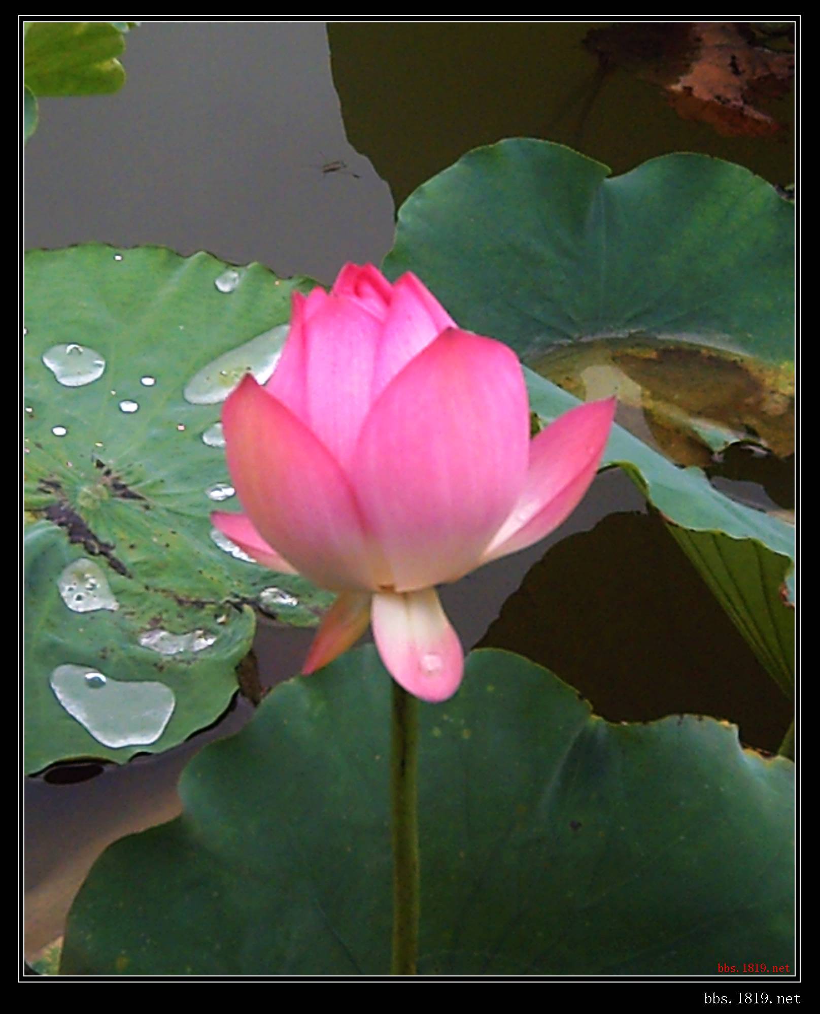 PICT0027.JPG